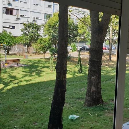 Yellow Apartment, Central Ποντγορίτσα Εξωτερικό φωτογραφία